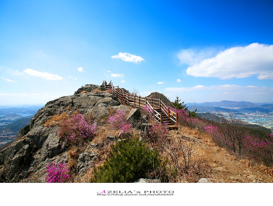 경남 진해 산행(1부)/장복산(덕주봉)&산벚꽃.진달래 핀 멋진 능선길을 따라서 .. 【19년3월31일】 