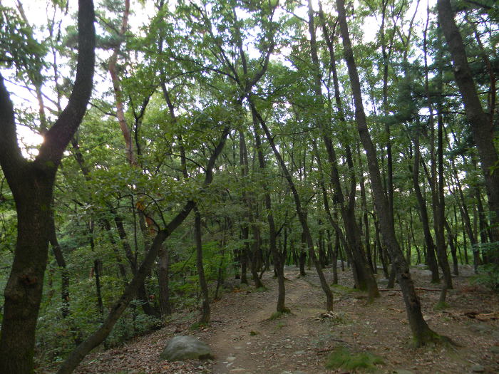 호암산 신선길과 금천구의 오랜 피서지 시흥계곡 (시흥계곡 장승, 서울둘레길5코스)