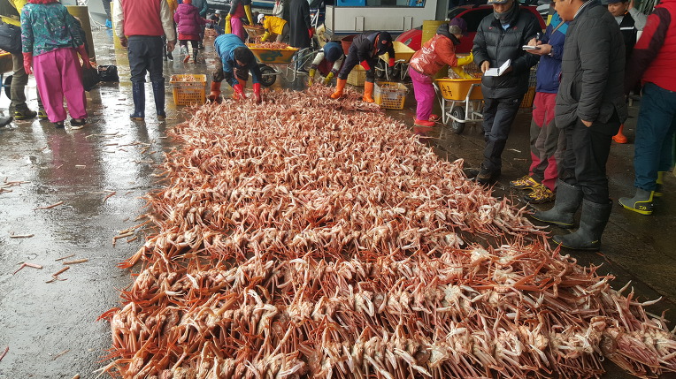강구항횟집 이미지