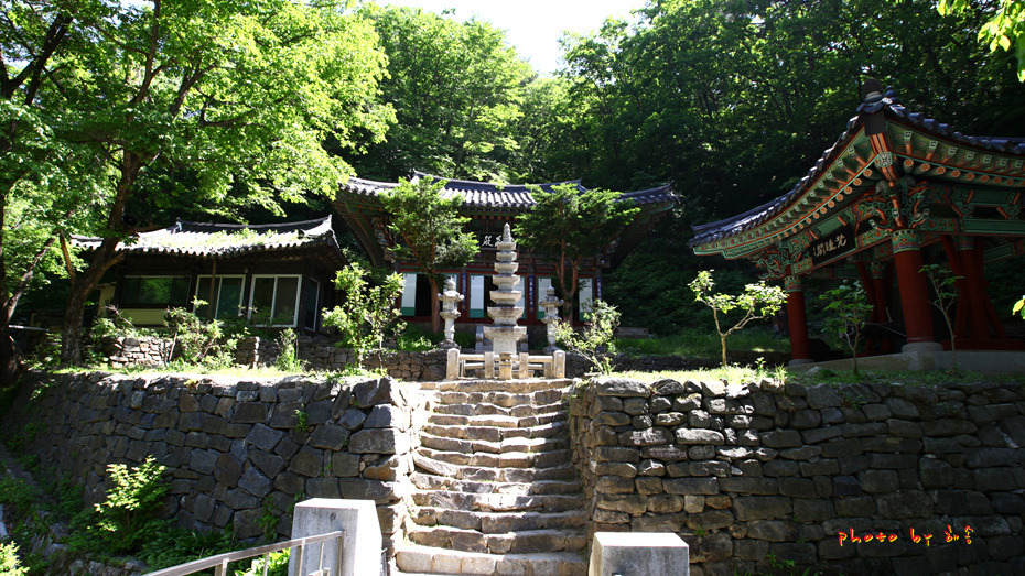 소백산 철쭉 길을 걷다..2018.5.26