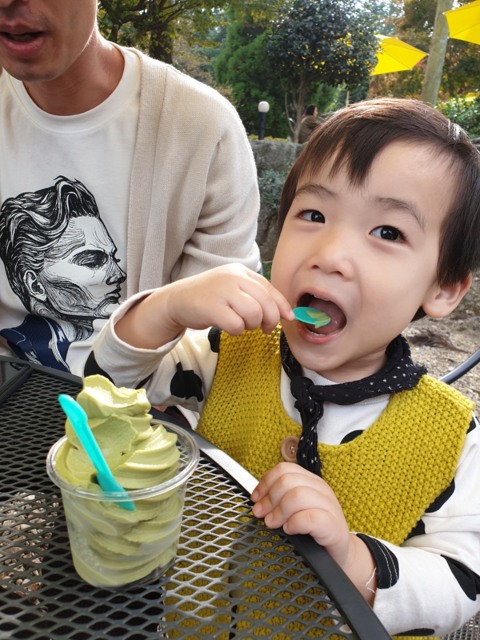 예쁜 강아지들