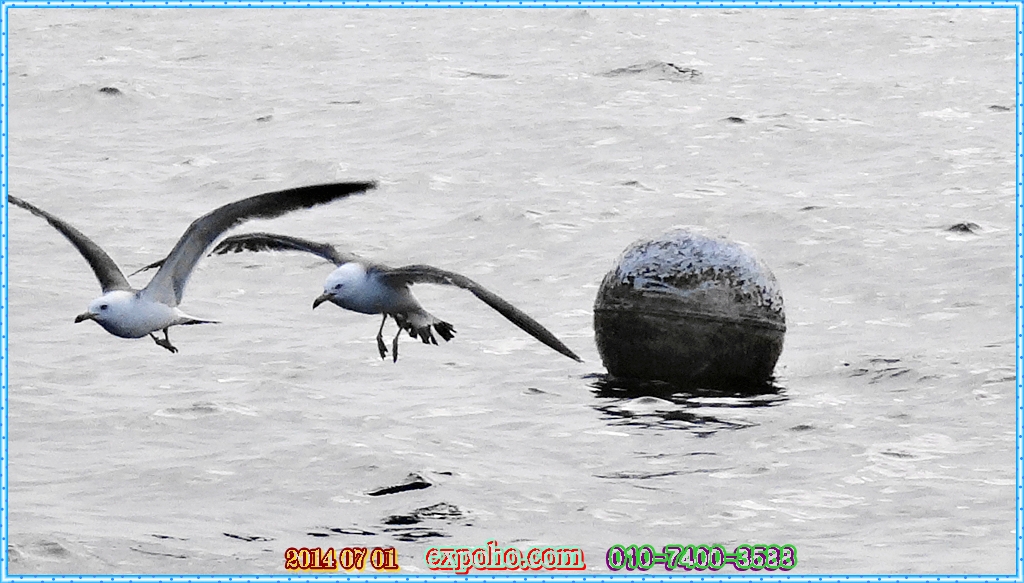 225A355053B2C4CE3072EF