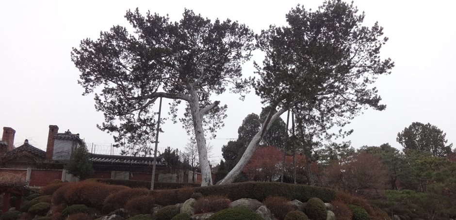 문화유산한옥 이미지