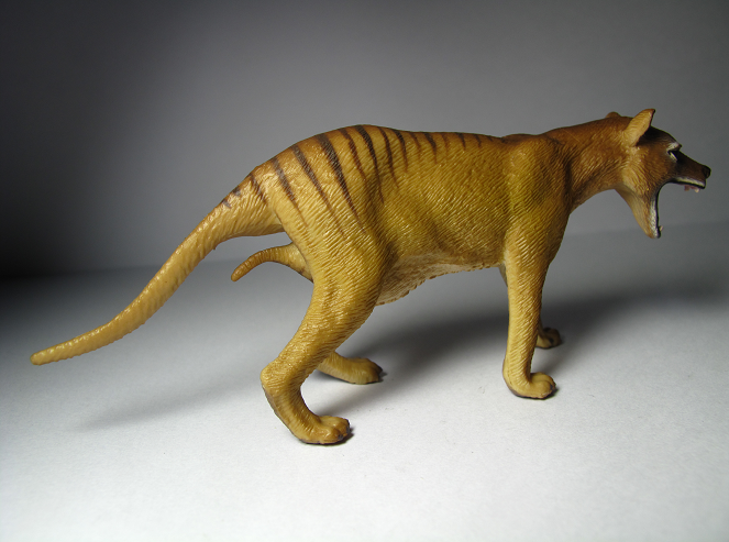 tasmanian tiger plush toy